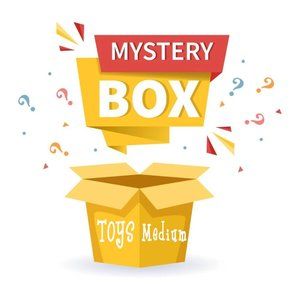 MYSTERY TOY BOX - MEDIUM Variety of items. All NEW. High value